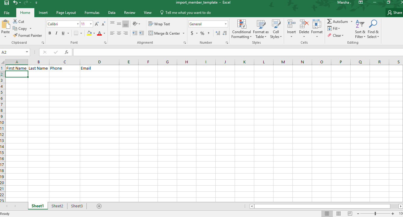 Fig 3: Open Excel